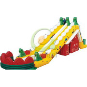 inflatable adult slide